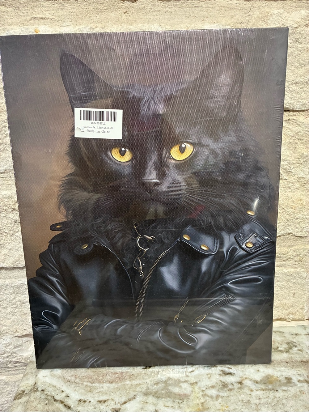 Black Cat in Biker Leather Jacket Portrait Canvas Wall Art
